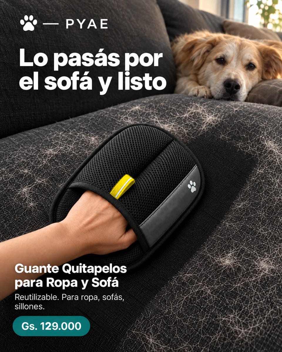 Guante quitapelos sobre un sofá con pelos de perro: «Lo pasás por el sofá y listo»